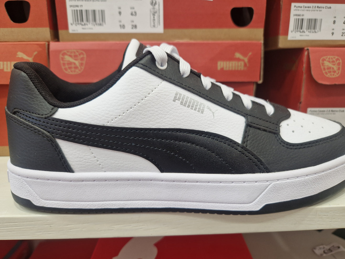 Puma caven 2.