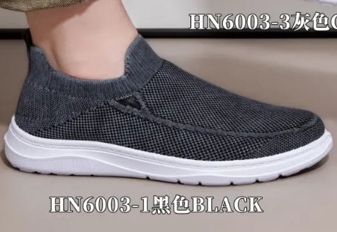 HN6003