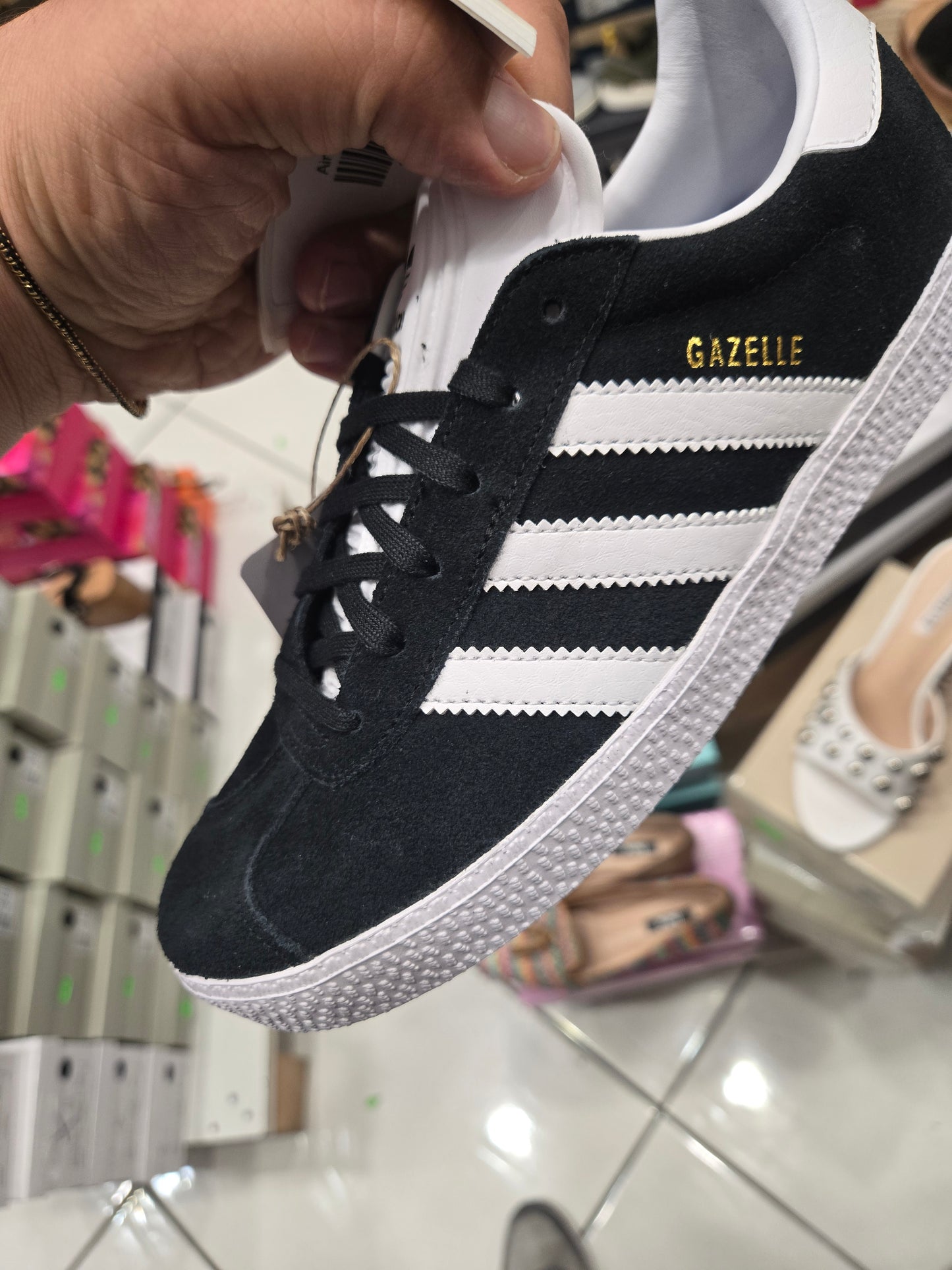 Gazelle nera